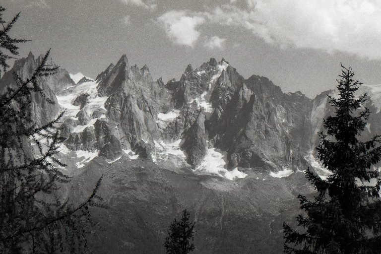photo argentique montagnes chamonix sapins